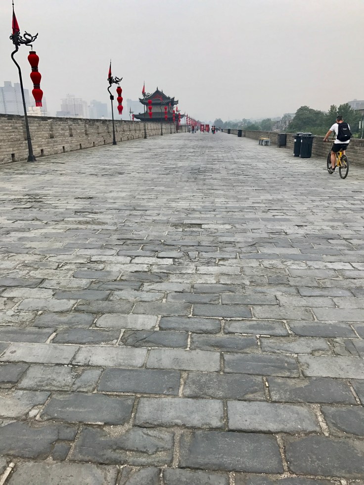 53D3FA47-955F-4556-9EB8-4537498984F6