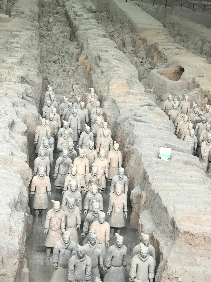 A4D836F7-110E-43FB-A2E0-9C51CE4534EE