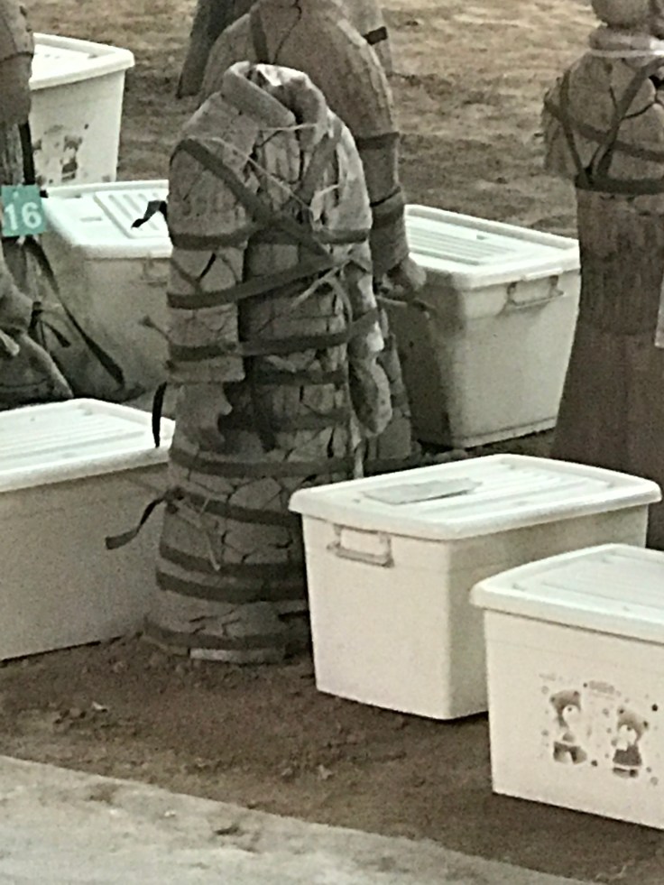 C8407645-78C8-4A25-ABD1-9CB4747A937D