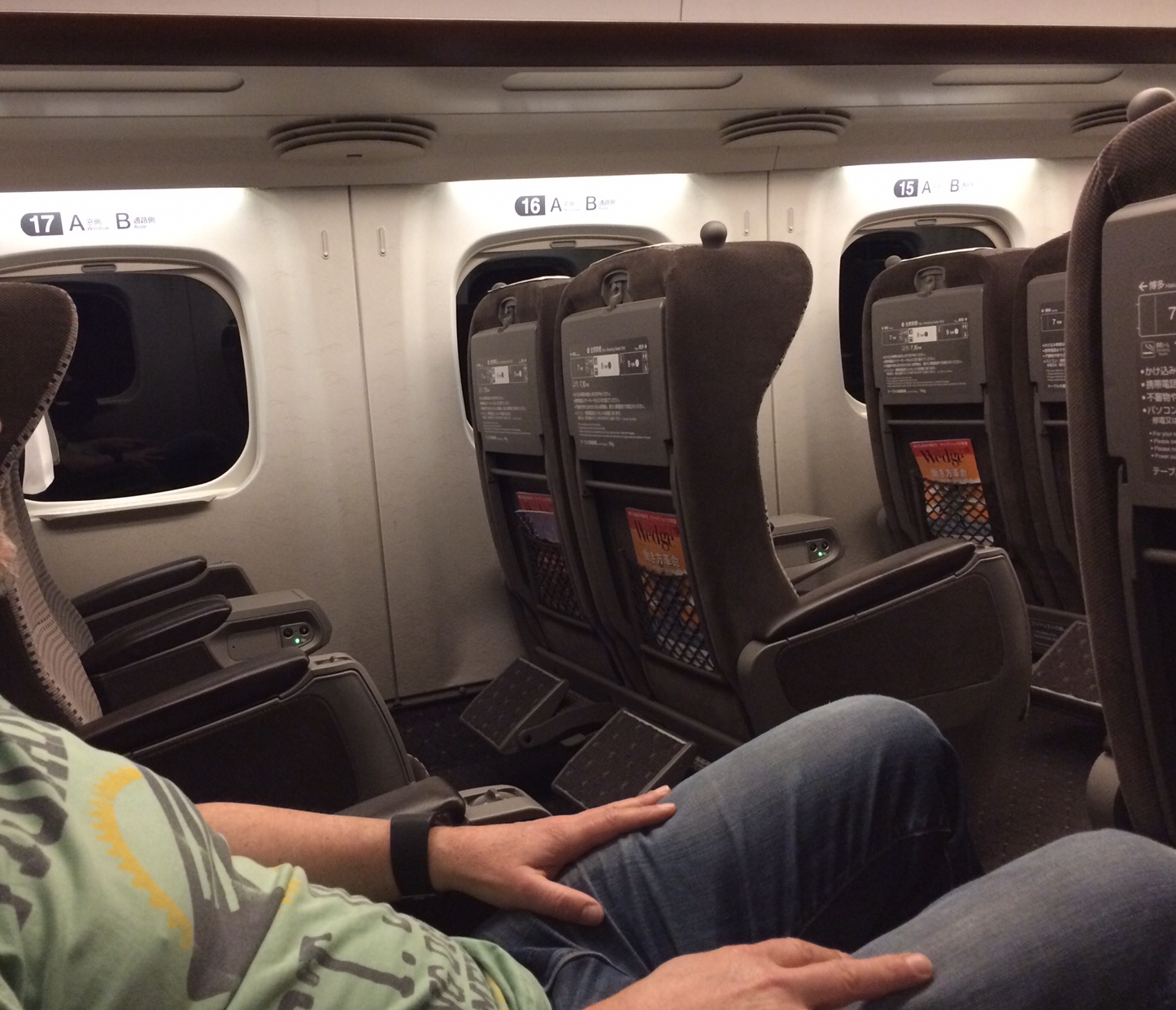 The interior of a Shinkansen-modern , electronic access and foot stools